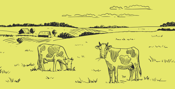 Выставка «ЯрАгро-2025»