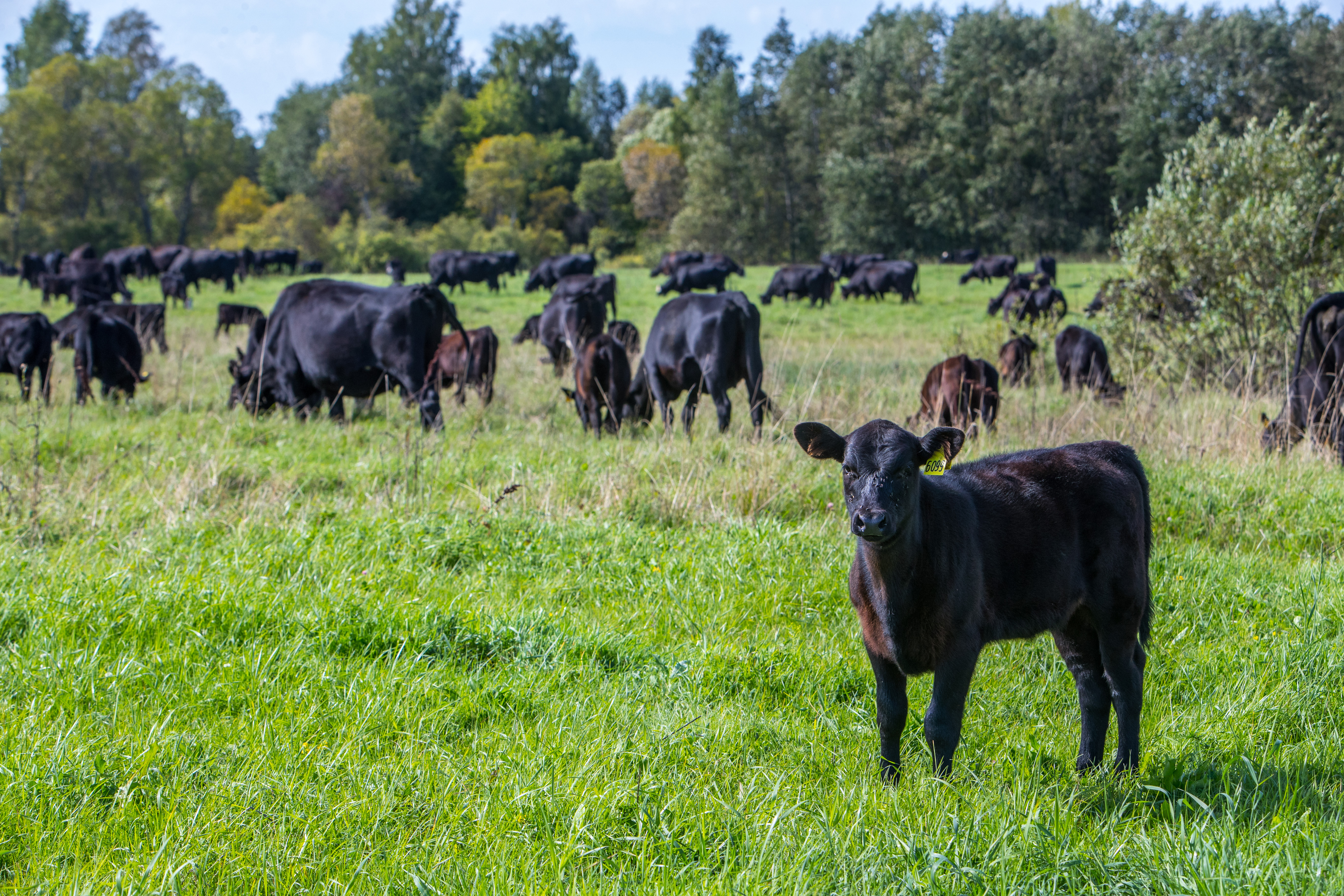 О компании 1